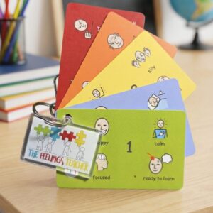 Keyring The Feelings Teacher